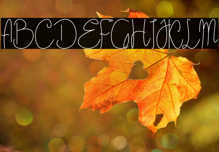 Cattalleya Demo Example 3