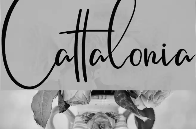 Cattalonia Font examples