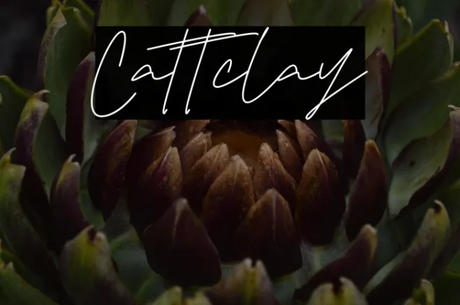 Cattclay Example 1