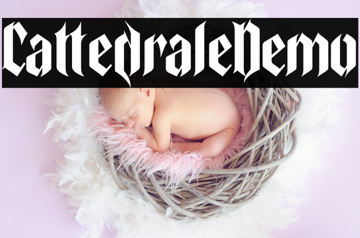 Cattedrale-Demo Example 3