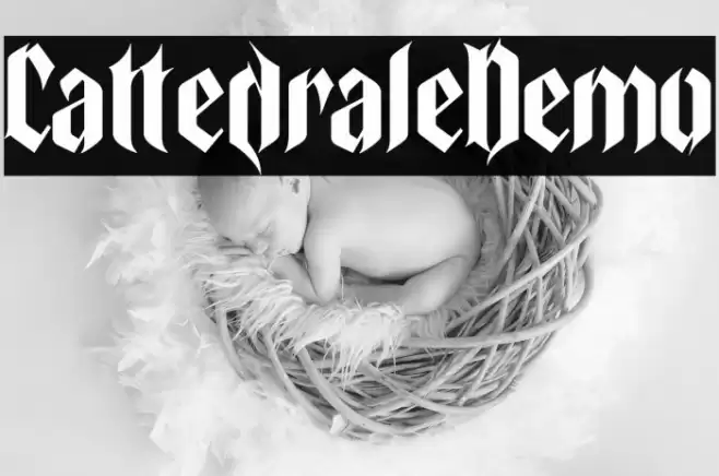 Cattedrale-Demo Font examples