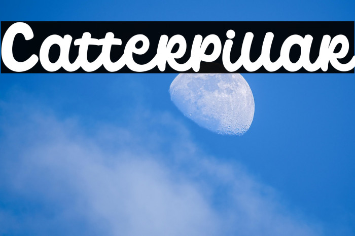 Catterpillar Example 2