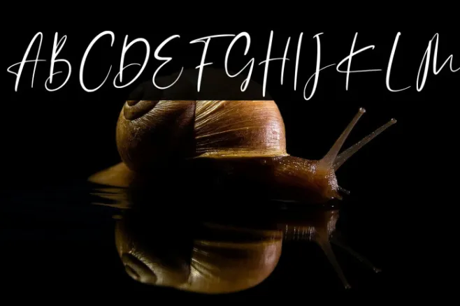 Catthy Wellingten Example 1