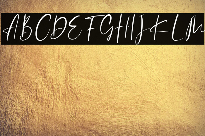 Catthy Wellingten Example 2