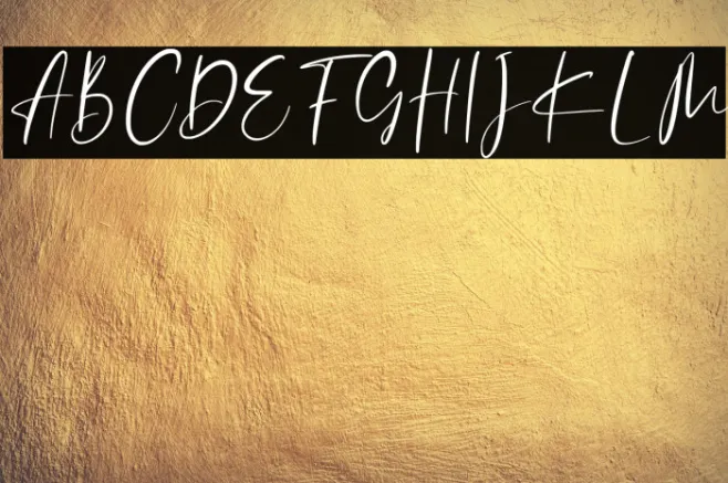 Catthy Wellingten Example 2