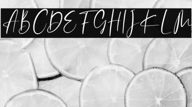 Catthy Wellingten Font examples