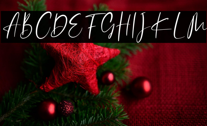 Catthy Wellingten Example 2