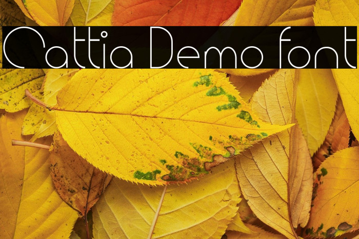 Cattia Demo font Example 1
