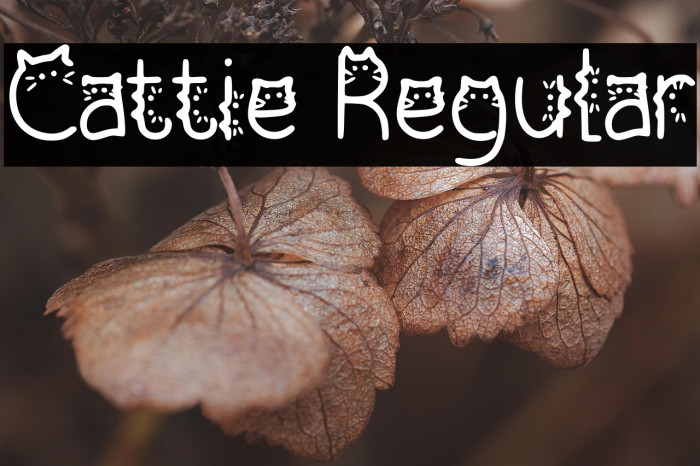 Cattie Regular Example 1