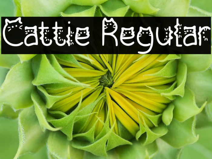 Cattie Regular Example 2