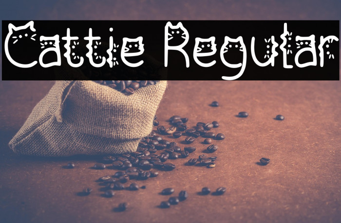 Cattie Regular Example 3