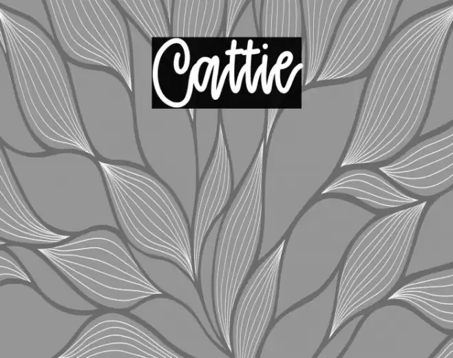 Cattie Font examples