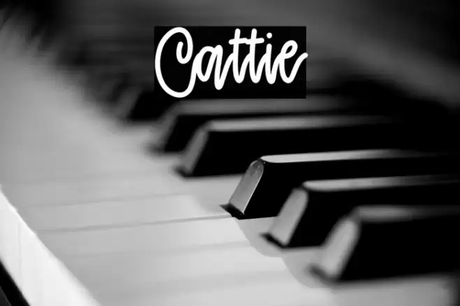 Cattie Font examples