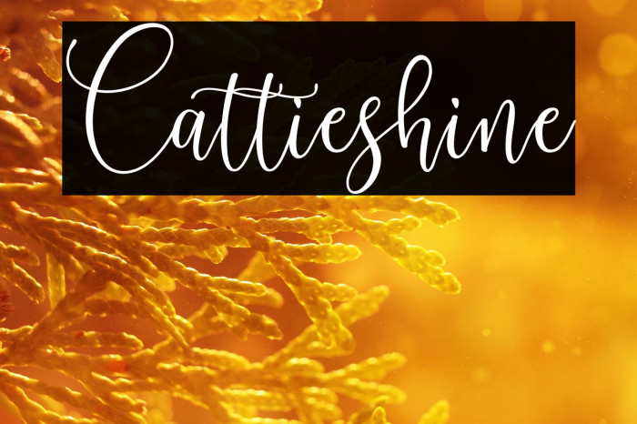 Cattieshine Example 1