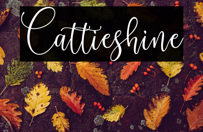 Cattieshine Example 2
