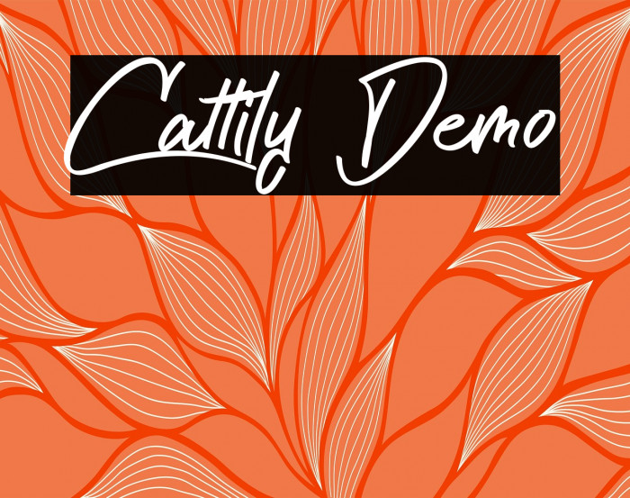 Cattily Demo Example 1