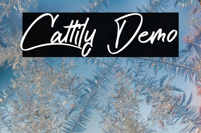 Cattily Demo Example 2