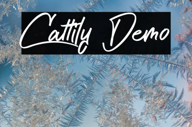 Cattily Demo Example 2
