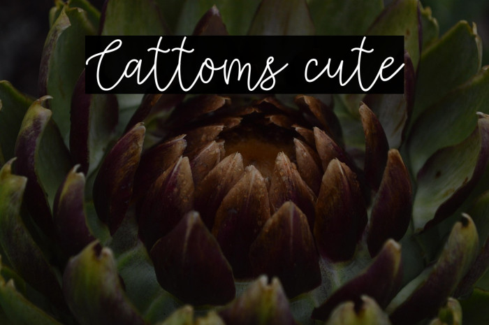 Cattoms cute Example 2