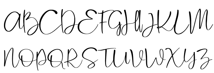 Cattus Free Regular Font OTHER CHARS
