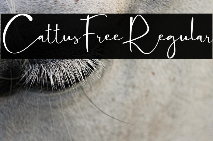 CattusFree-Regular Example 2