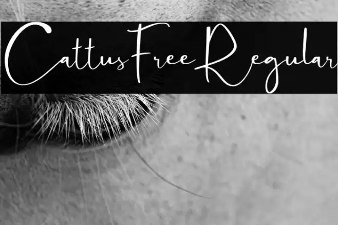 CattusFree-Regular Font examples