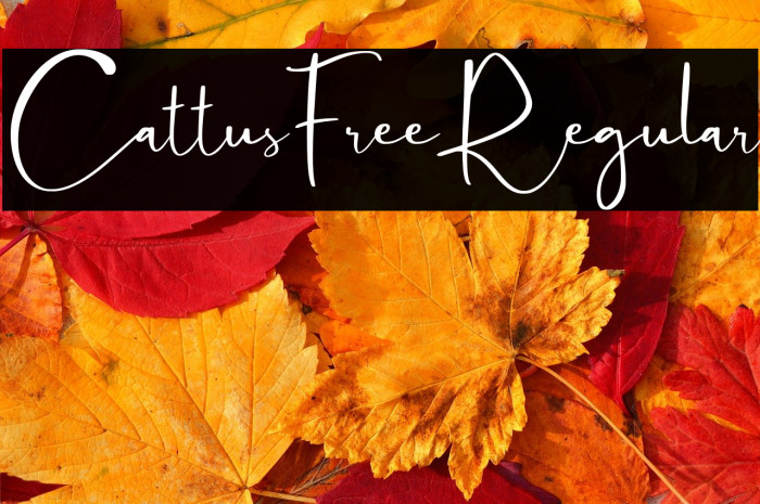 CattusFree-Regular Example 3