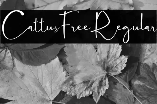 CattusFree-Regular Font examples