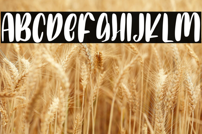 Catty Smile Example 2