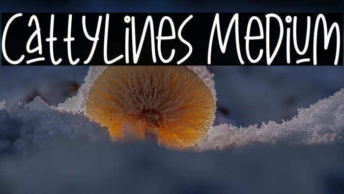 CattyLines Medium Example 3