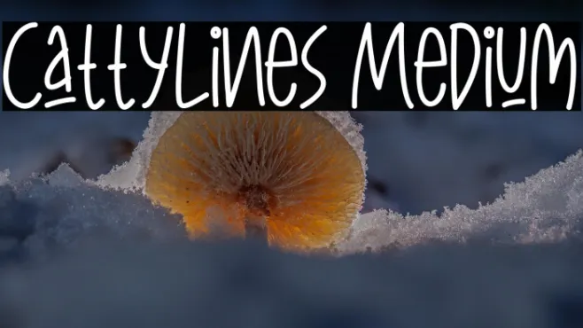 CattyLines Medium Example 3