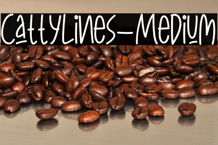 CattyLines-Medium Example 1