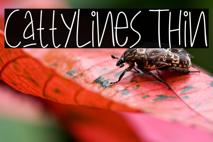 CattyLines Thin Example 1