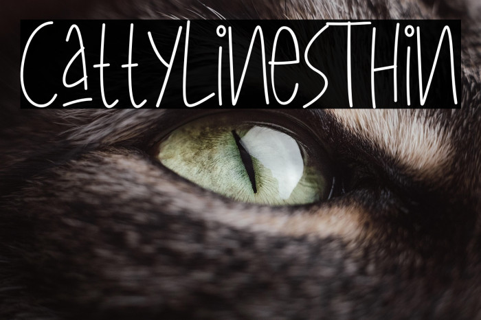 CattyLinesThin Example 1