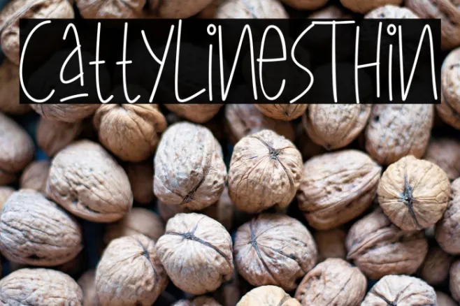 CattyLinesThin Example 3