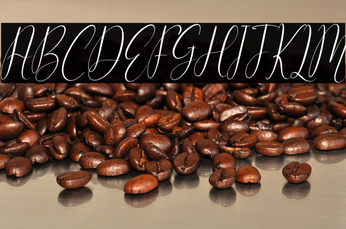 Cattya Brown Italic Example 1