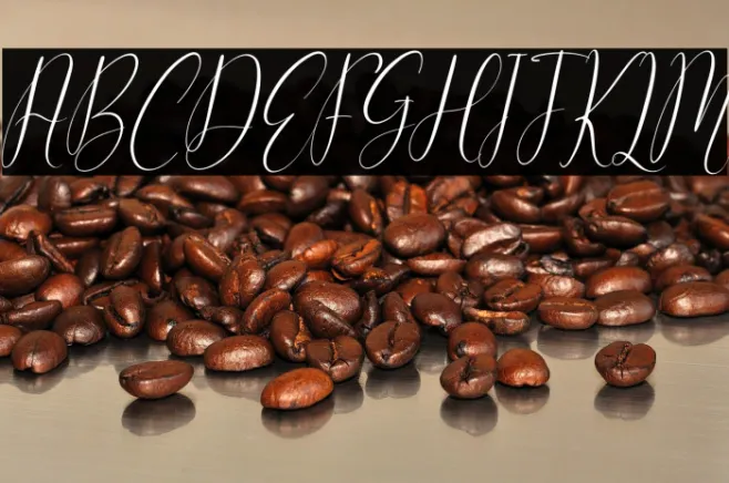 Cattya Brown Italic Example 1