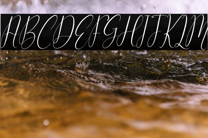 Cattya Brown Italic Example 2