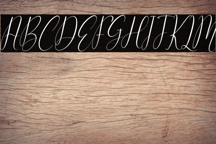 Cattya Brown Italic Example 3