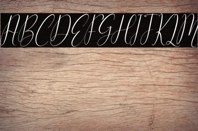 Cattya Brown Italic Example 3