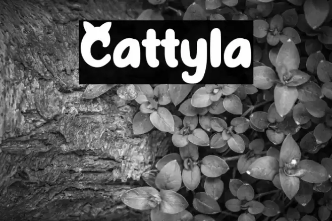 Cattyla Font examples