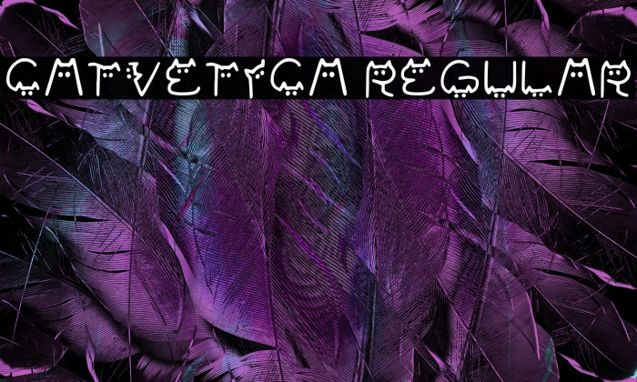 Catvetica Regular Example 2