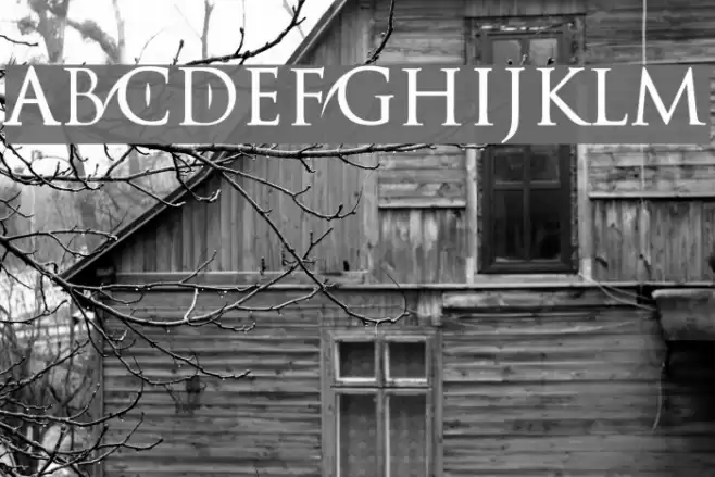 Catwoman Font examples