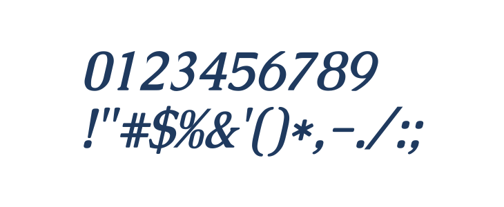 Caudex Bold Italic1 Other Characters