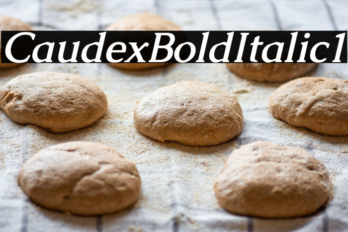 Caudex Bold Italic1 Example 2