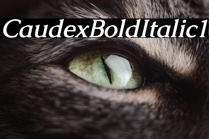 Caudex Bold Italic1 Example 3
