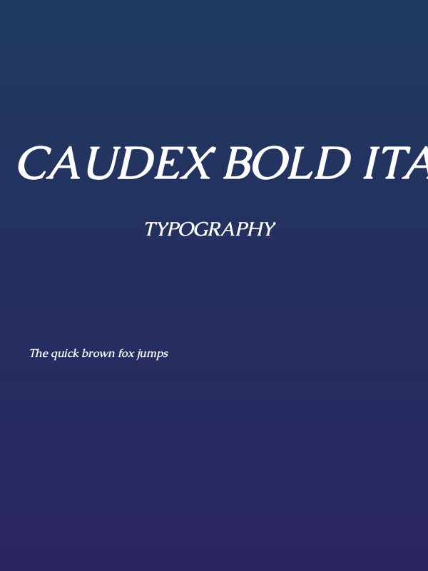 Caudex Bold Italic1 Poster