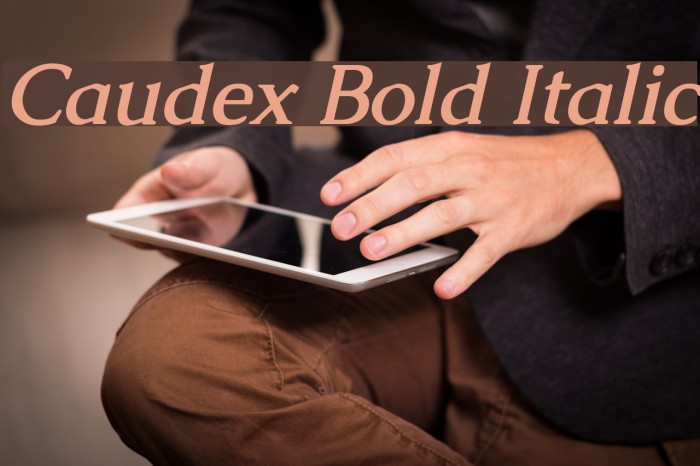 Caudex Bold Italic Font examples