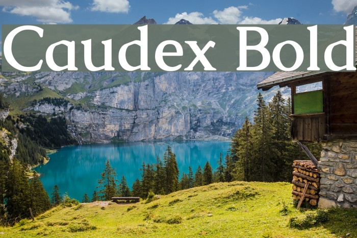 Caudex Bold Font examples