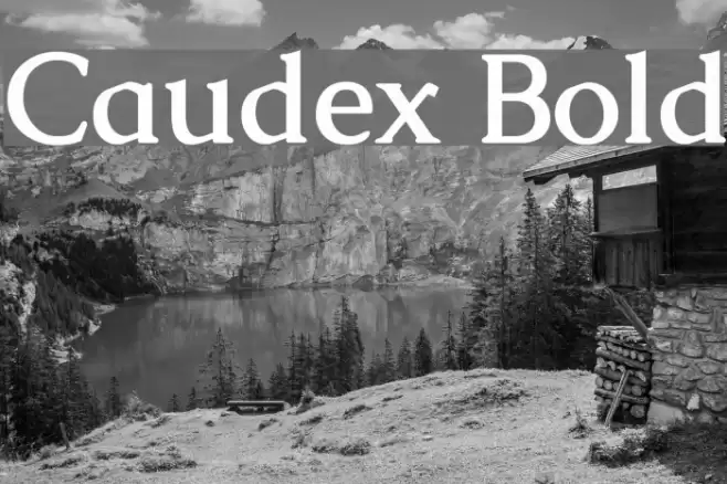 Caudex Bold Font examples